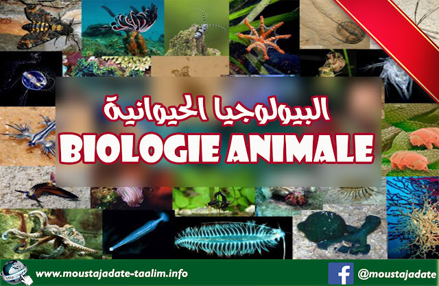 تحميل كتاب مميز بعنوان "Biologie Animale" كامل ومتكامل لاصحاب تخصص علوم الحياة والارض