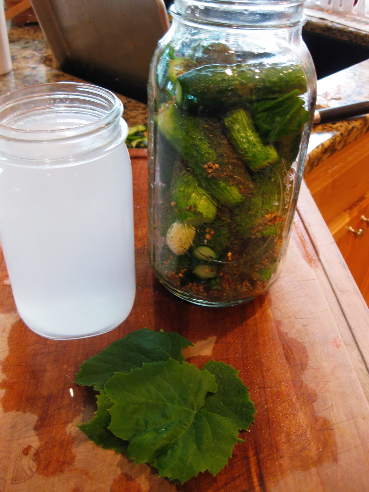 Fresh Dill Substitute Head