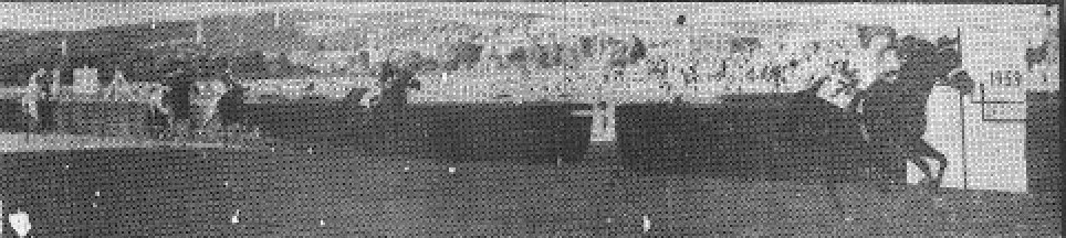 LA HISTORIA DEL GRAN PREMIO DE MADRID 1959 36.ª edición del Gran