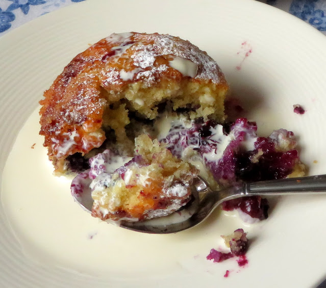 Little Blueberry Puddings