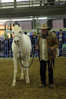 http://steve-stavros-vergis-horsetrainer.blogspot.gr/ Zootechnia 2017- Stavros, Steve Vergis