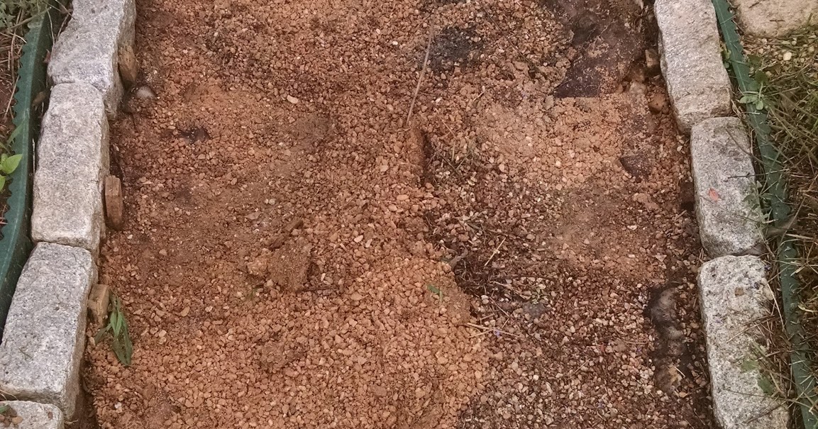 BlueDayLabs Howto Create a Dog Patch (Backyard Dog Pee Area) The Refresh