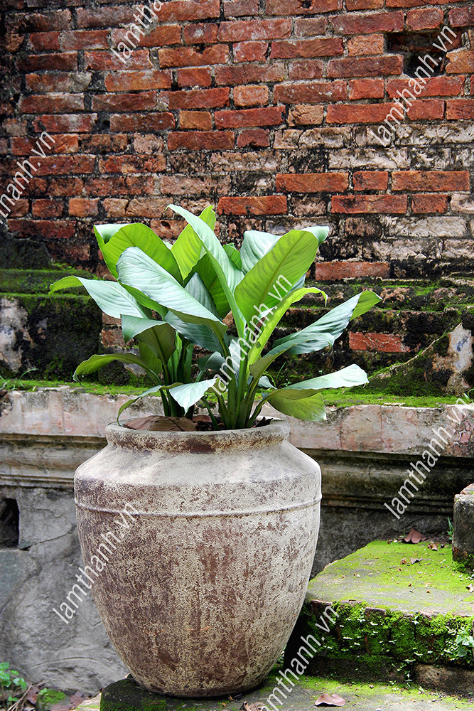 VIETNAM GARDEN POTS VIETNAM POTTERY PLANTERS