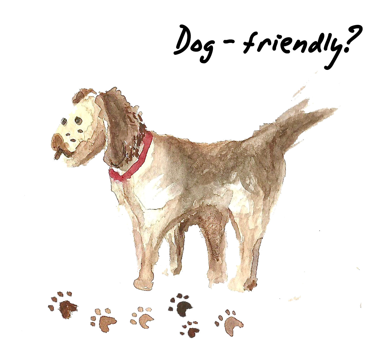 Fieldnotes Gardens The Freckled Fieldnotes