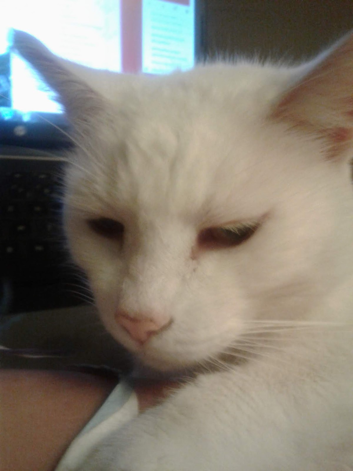 Frauen Technik Und Andere Spannende Sachen Das Ist Mir Auch