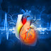 HEART DISEASE PROBLEMS, PREVENTIONS AND SOLUTIONS