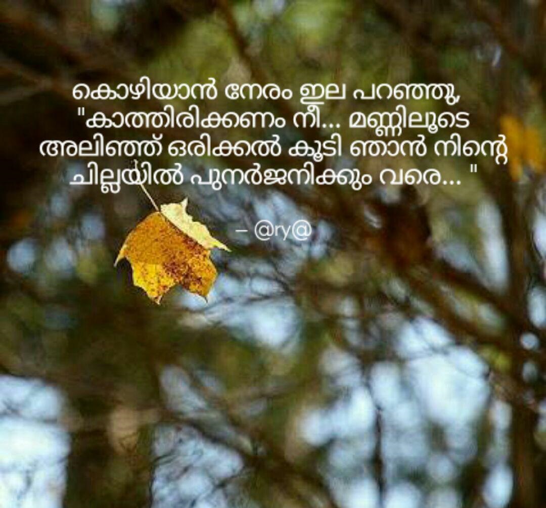 Quote Of Leaf And Tree Love Rebirth Wait In Malayalam Font With Nature Background Quote Of Leaf And Tree Love Rebirth Wait In Malayalam Font With Nature Background