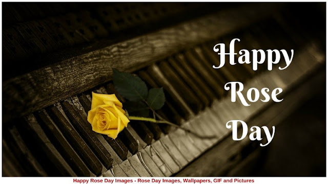Rose Day Images for Girlfriend Rose Day Images for Girlfriend