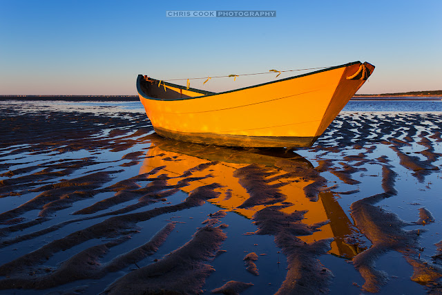 Cape Cod wedding blog photo from Chris Cook Photography about Finding Dory