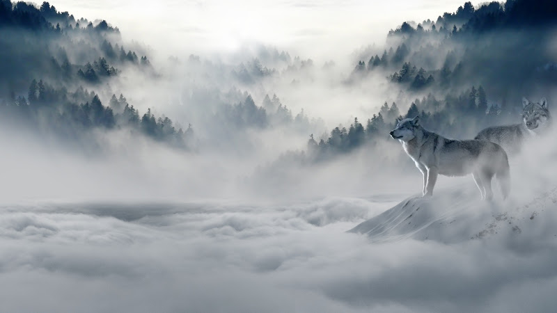 Wolves