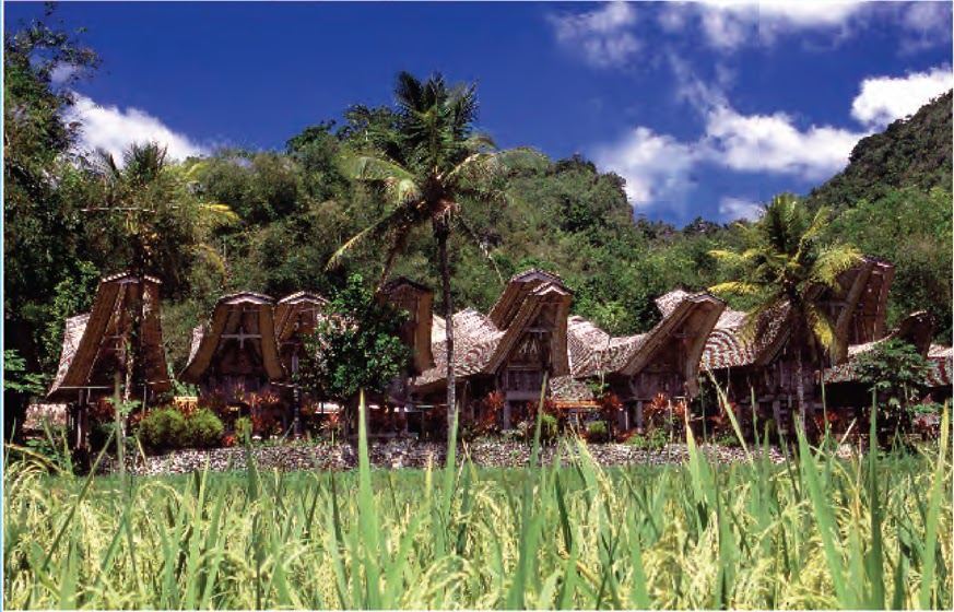 Tana Toraja FOTO