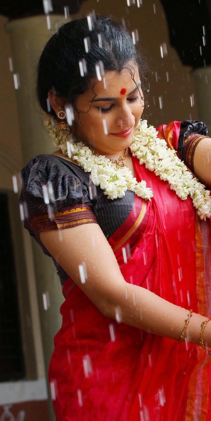 malayalam housewife in saree