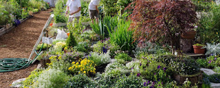 Gardening business Gardening business ideas