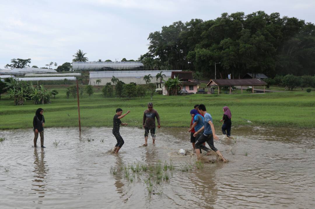 Melaka Tropical FRUIT FARM dboystudio