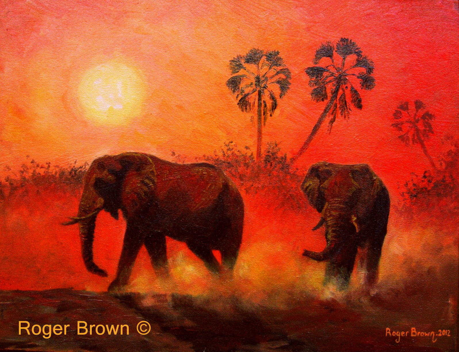 African Elephant Sunset