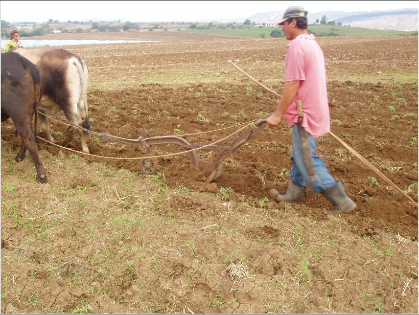 METODOS DE LABRANZA PARA LA CONSERVACION Y MEJORAMIENTO DE LOS SUELOS. METODOS DE LABRANZA PARA LA CONSERVACION Y MEJORAMIENTO DE LOS SUELOS.
