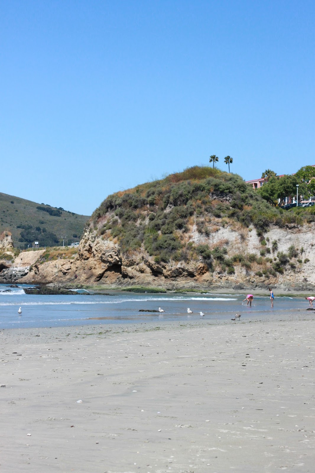 AVILA BEACH A Beautiful Heart