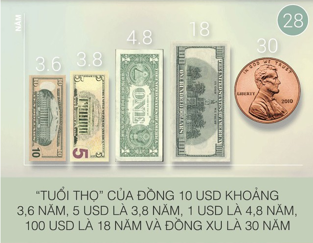 suc-manh-dong-usd