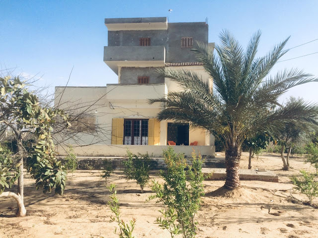 ارض_زراعية_للبيع_بالتل_الكبير, مزرعة_للبيع_بالاسماعيلية, مزرعة_للبيع_بالقصاصين, مزارع_للبيع_في_طريق_الاسماعيلية, مزارع_للبيع_في_مدينة_الاسماعيلية, مزارع_مانجو_للبيع_في_الاسماعيلية, مزارع_للبيع_الاسماعيلية_مصر, مزارع_للبيع_مصر_اسماعيلية, مزرعة_للبيع_فى_الاسماعيلية, مزرعة_للبيع_طريق_الاسماعيلية, مزارع_للبيع_شرق_الاسماعيليه, مزرعة_للبيع_بطريق_الاسماعيلية, مزارع_للبيع_في_القصاصين, مزارع_للبيع_القصاصين, مزارع_للبيع_فى_القصاصين, مزارع_للبيع_في_التل_الكبير, مزرعة_اغنام_للبيع_الاسماعيلية, مزارع_للبيع_بالاسماعيلية_مصر, مزرعة_للبيع_في_الاسماعيلية, مزرعة_مانجو_للبيع_فى_الاسماعيلية ارض_زراعية_للبيع_بالتل_الكبير, مزرعة_للبيع_بالاسماعيلية, مزرعة_للبيع_بالقصاصين, مزارع_للبيع_في_طريق_الاسماعيلية, مزارع_للبيع_في_مدينة_الاسماعيلية, مزارع_مانجو_للبيع_في_الاسماعيلية, مزارع_للبيع_الاسماعيلية_مصر, مزارع_للبيع_مصر_اسماعيلية, مزرعة_للبيع_فى_الاسماعيلية, مزرعة_للبيع_طريق_الاسماعيلية, مزارع_للبيع_شرق_الاسماعيليه, مزرعة_للبيع_بطريق_الاسماعيلية, مزارع_للبيع_في_القصاصين, مزارع_للبيع_القصاصين, مزارع_للبيع_فى_القصاصين, مزارع_للبيع_في_التل_الكبير, مزرعة_اغنام_للبيع_الاسماعيلية, مزارع_للبيع_بالاسماعيلية_مصر, مزرعة_للبيع_في_الاسماعيلية, مزرعة_مانجو_للبيع_فى_الاسماعيلية