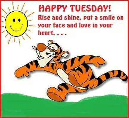 imageslist com happy tuesday 8 family christmas memes