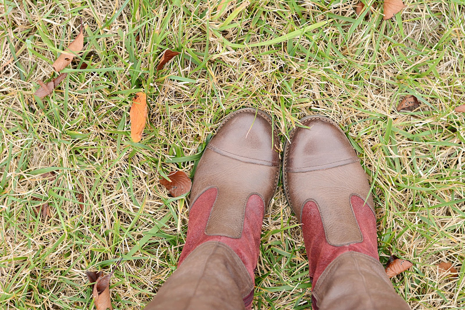 One Stylish Momma: Naya Shoes: Apollonia Boot Review