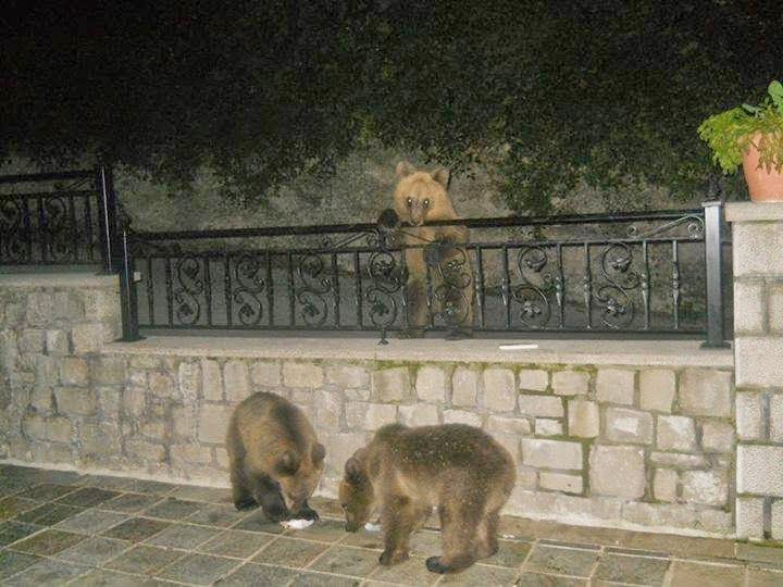Εικόνα
