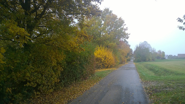 geteerter Weg vor den Feldern (c) by Joachim Wenk