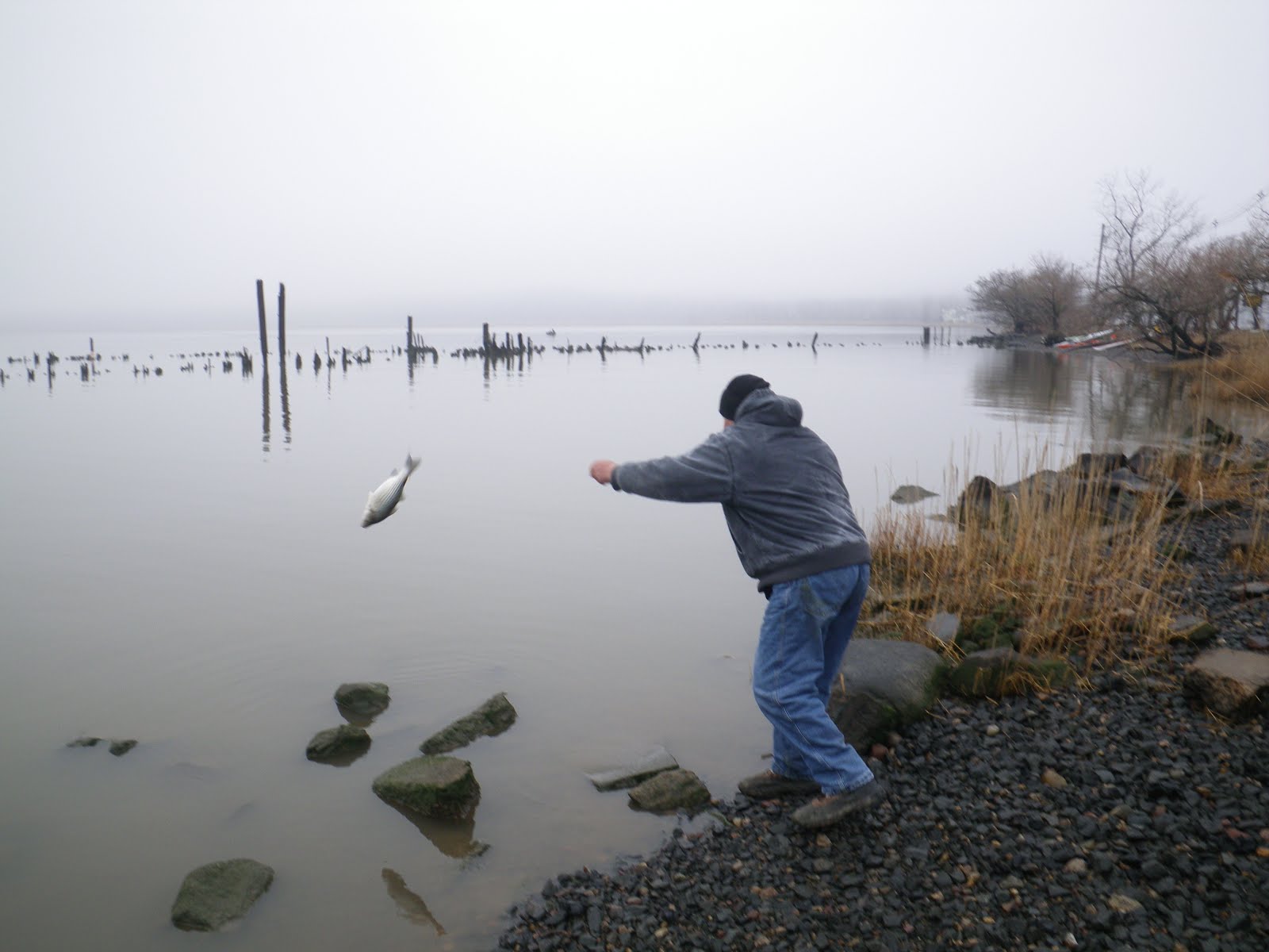 Frogma Fish on Friday The Fish Guru of Piermont Pier