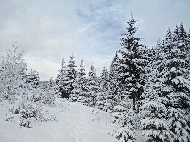 Winter in Bukovel Зимний Буковель Winter in Bukovel Зимний Буковель