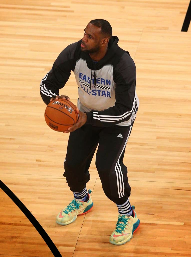 nike James Lebron 12 Roze