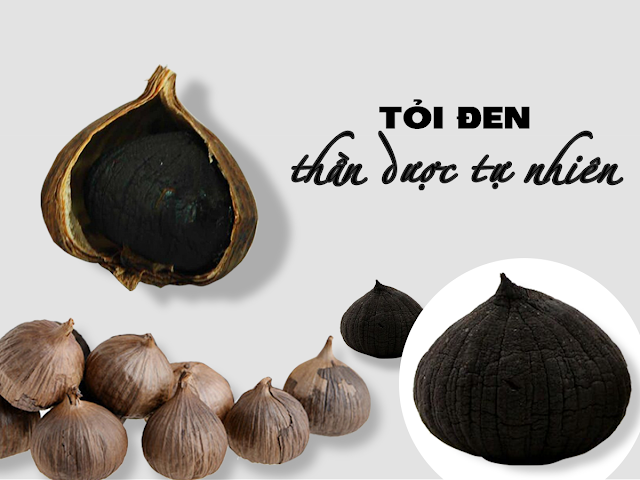 [Image: toi-den.png]