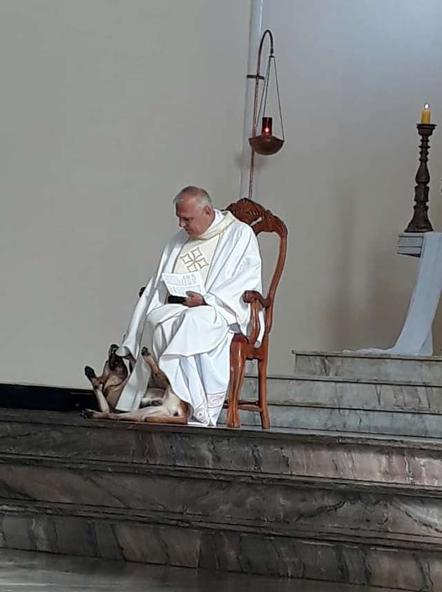 Playful Dog Crashes Church Service And The Priest's Reaction Is Priceless