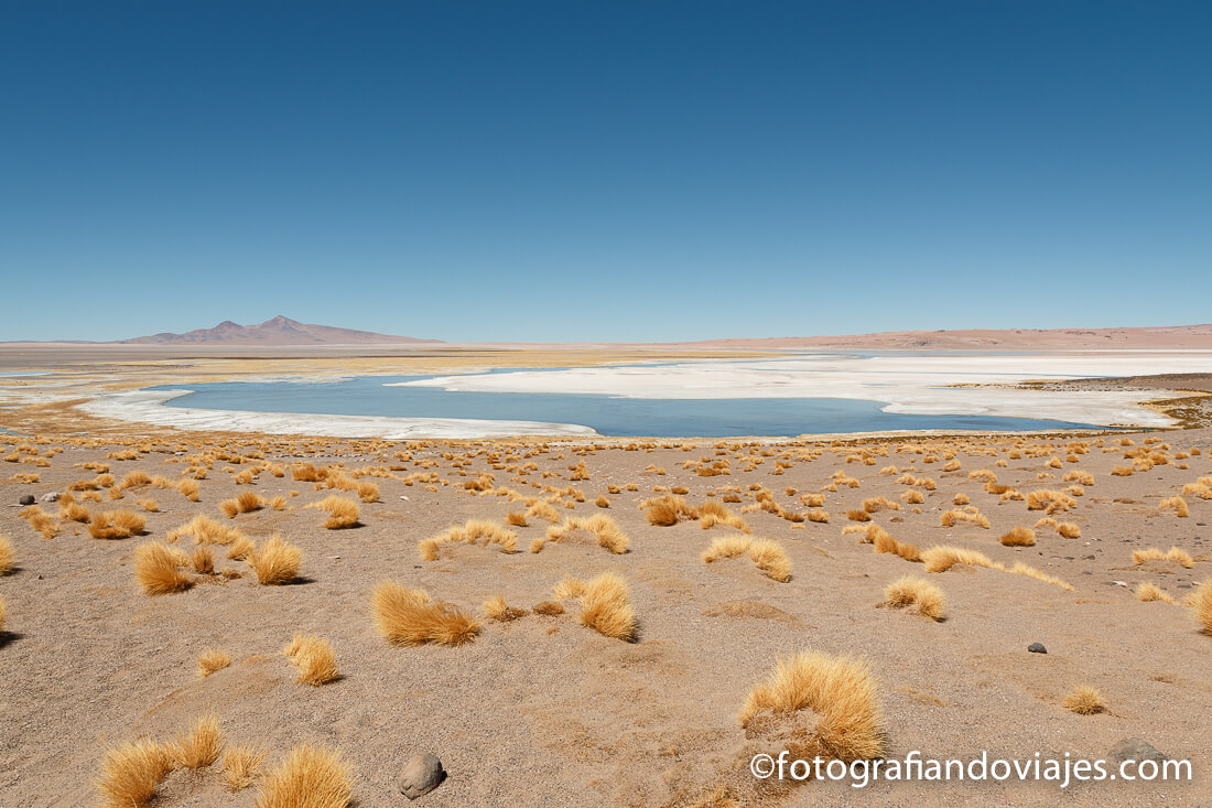 Salar de Tara Salar de Tara