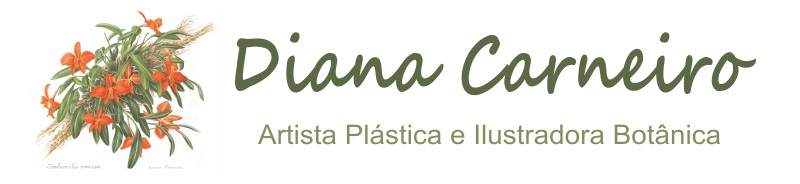 Diana Carneiro