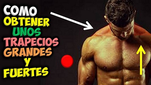 Sacar ejercicios musculos para