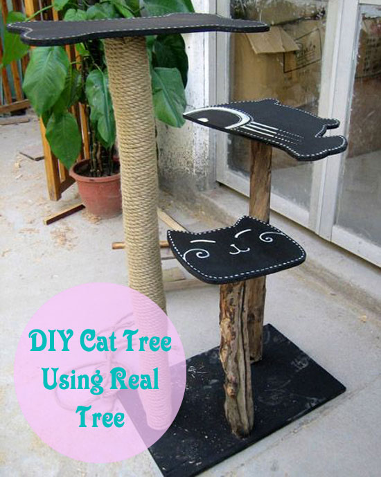 DIY Cat Tree using Real Tree animal world
