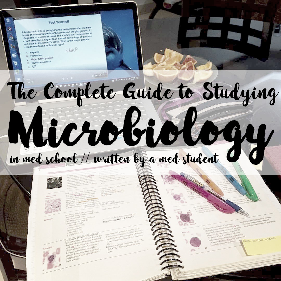 The Complete Guide On How To Study Microbiology In Med School