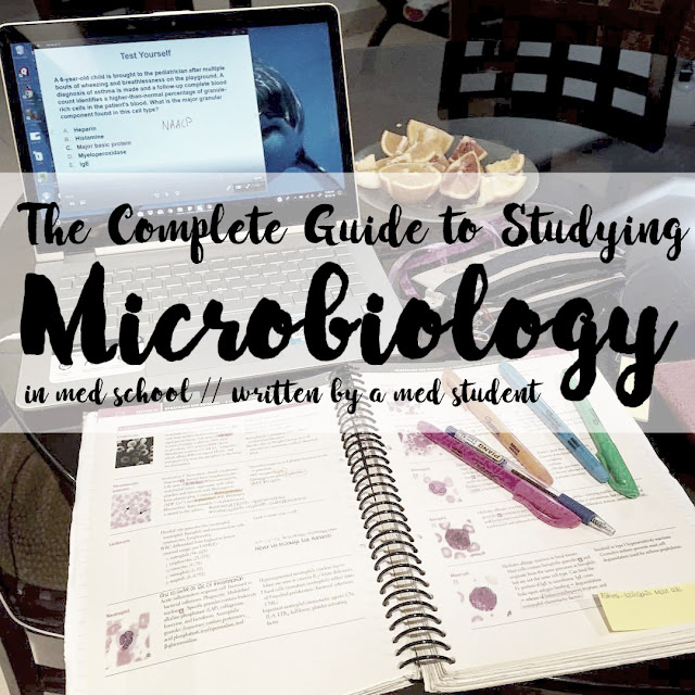 Read more here: https://writtenbykanra.blogspot.com/2018/02/study-microbiology.html || med school student medicine MBBS studying study tips ||