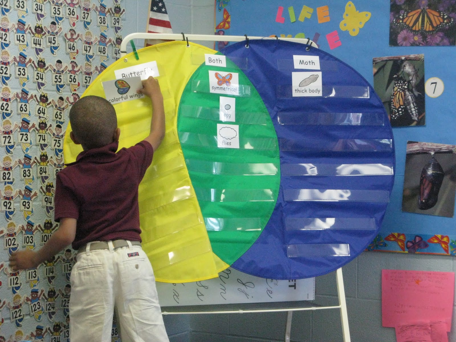 NEWS FROM THE PRE-K "A" PAD: BUTTERFLY/MOTH VENN DIAGRAM
