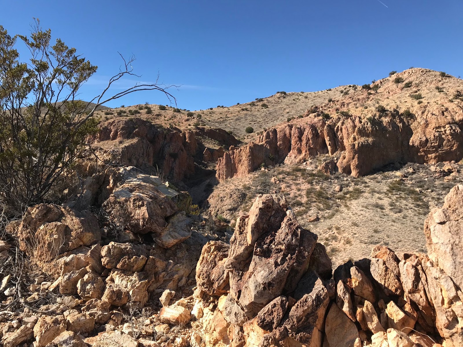 Southern New Mexico Explorer Cedar Hills Walkabout Organ Mountains