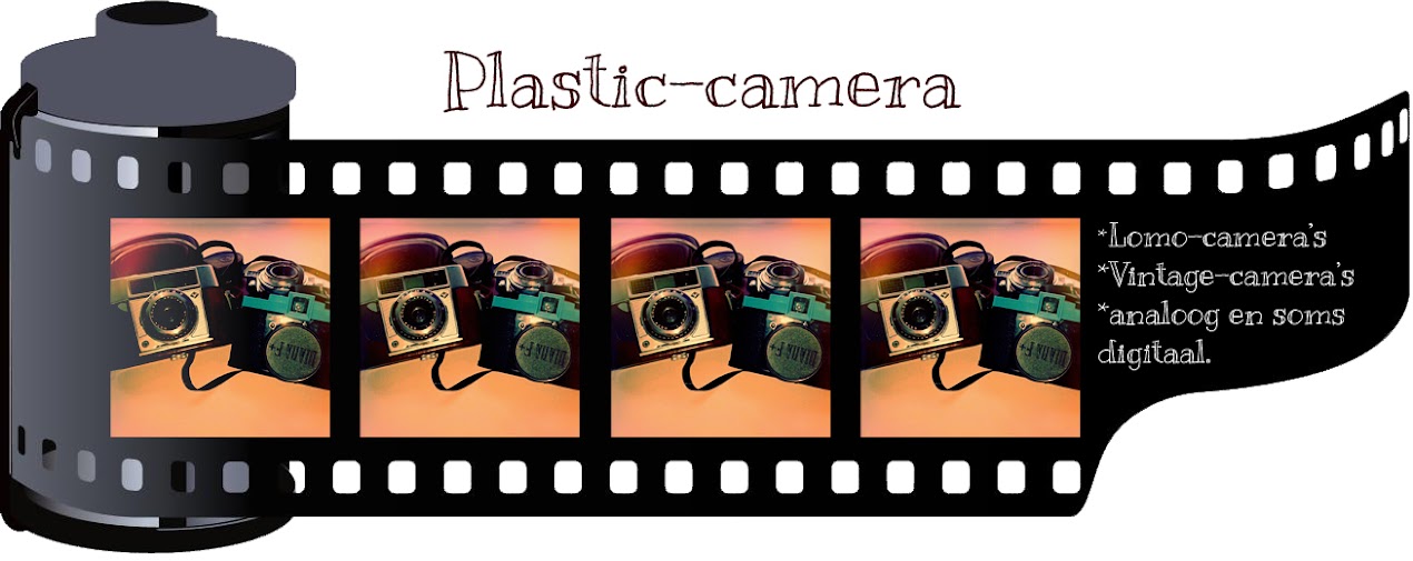 Plastic-camera