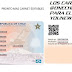 Donde comprar carnet de mascotas chilenas ? Como registrar tu mascota legalmente ?