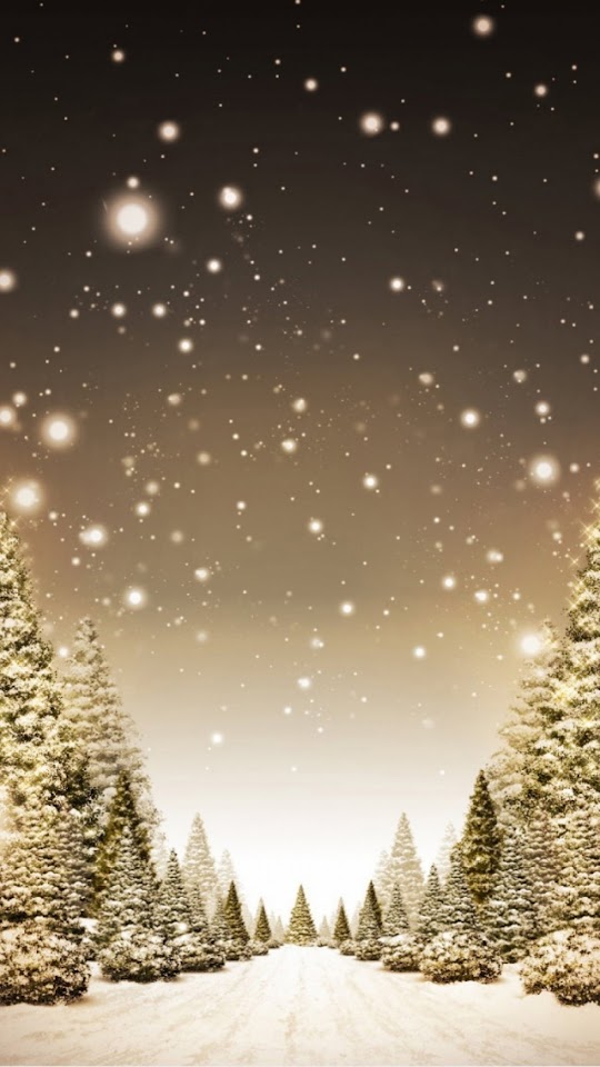 Winter Forest Path Snowing  Galaxy Note HD Wallpaper