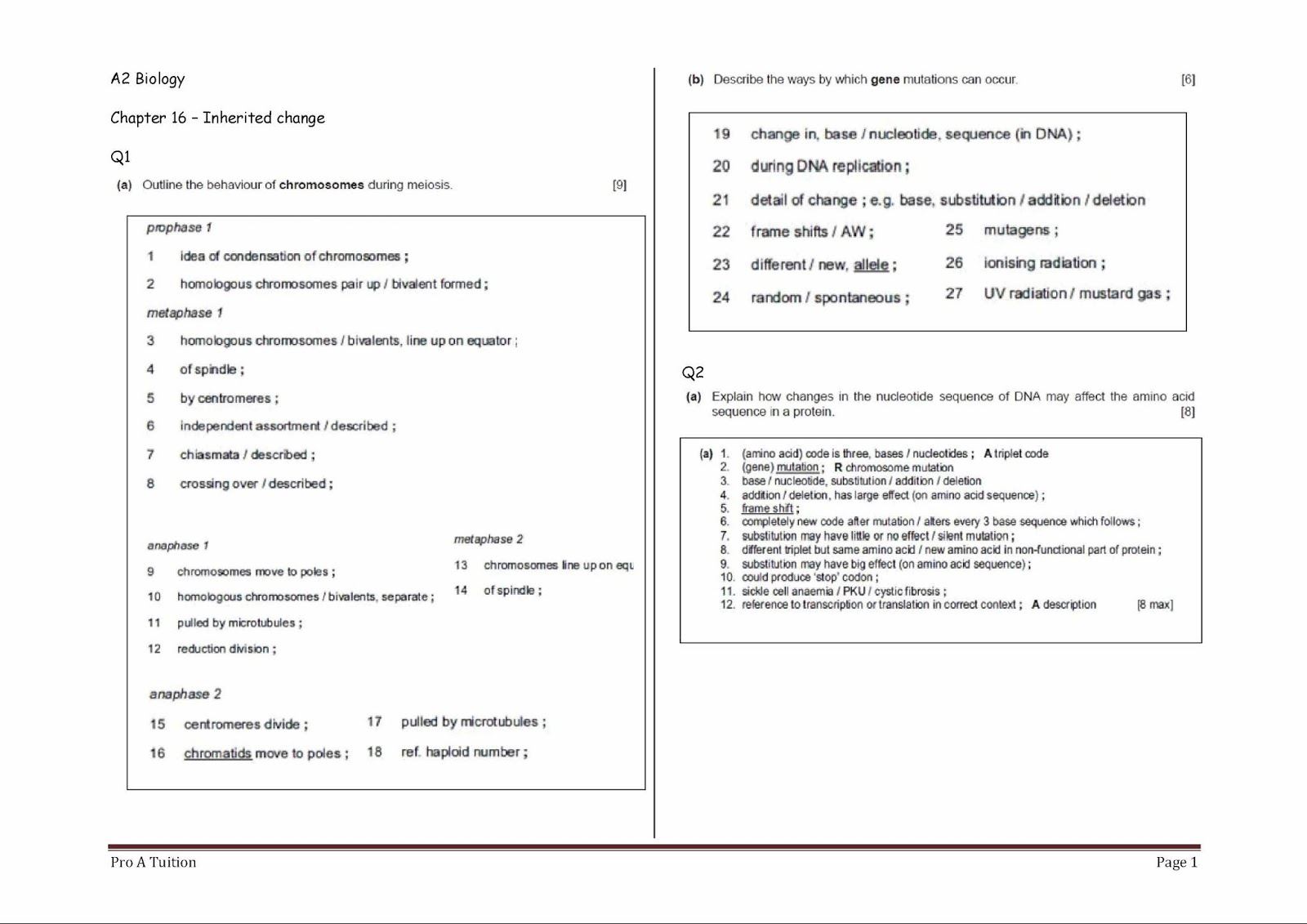 how bacteria affect human lives essay synoptic essay biology 2018