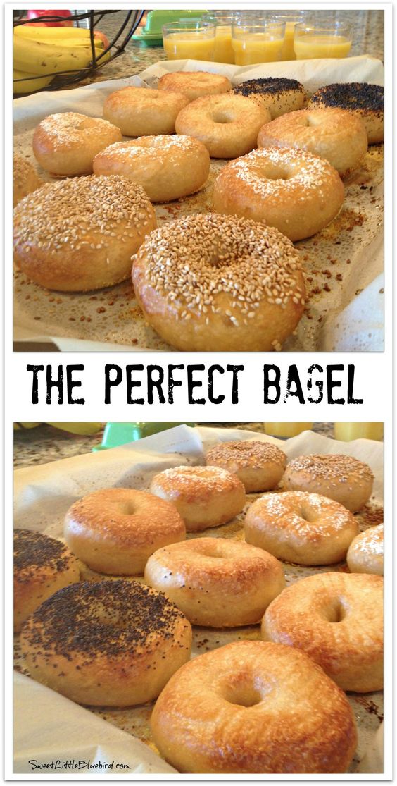 The Perfect Bagel Peter Reinhart's Bagels Recipe