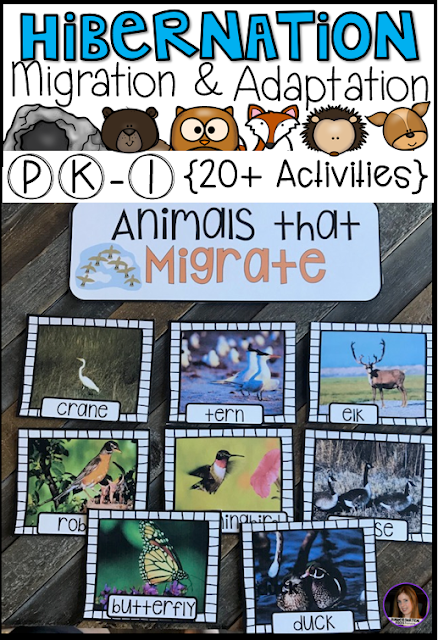 Hibernation, Migration and Adaptation Literacy Activities (PK-1) has all of the hands on writing and literacy centers and activities you will need for your unit.