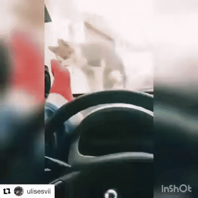 daily_gifdump_2939_11.gif