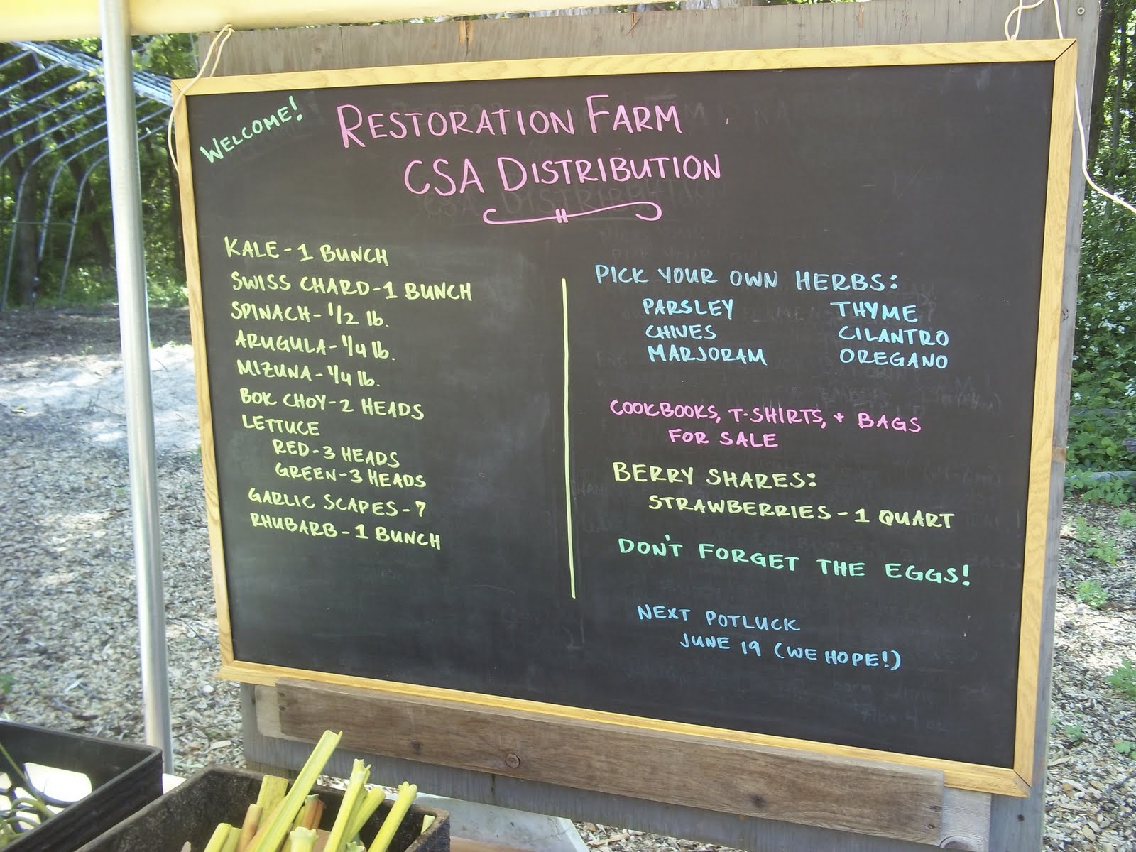 Culinary Types Field of Greens at Restoration Farm