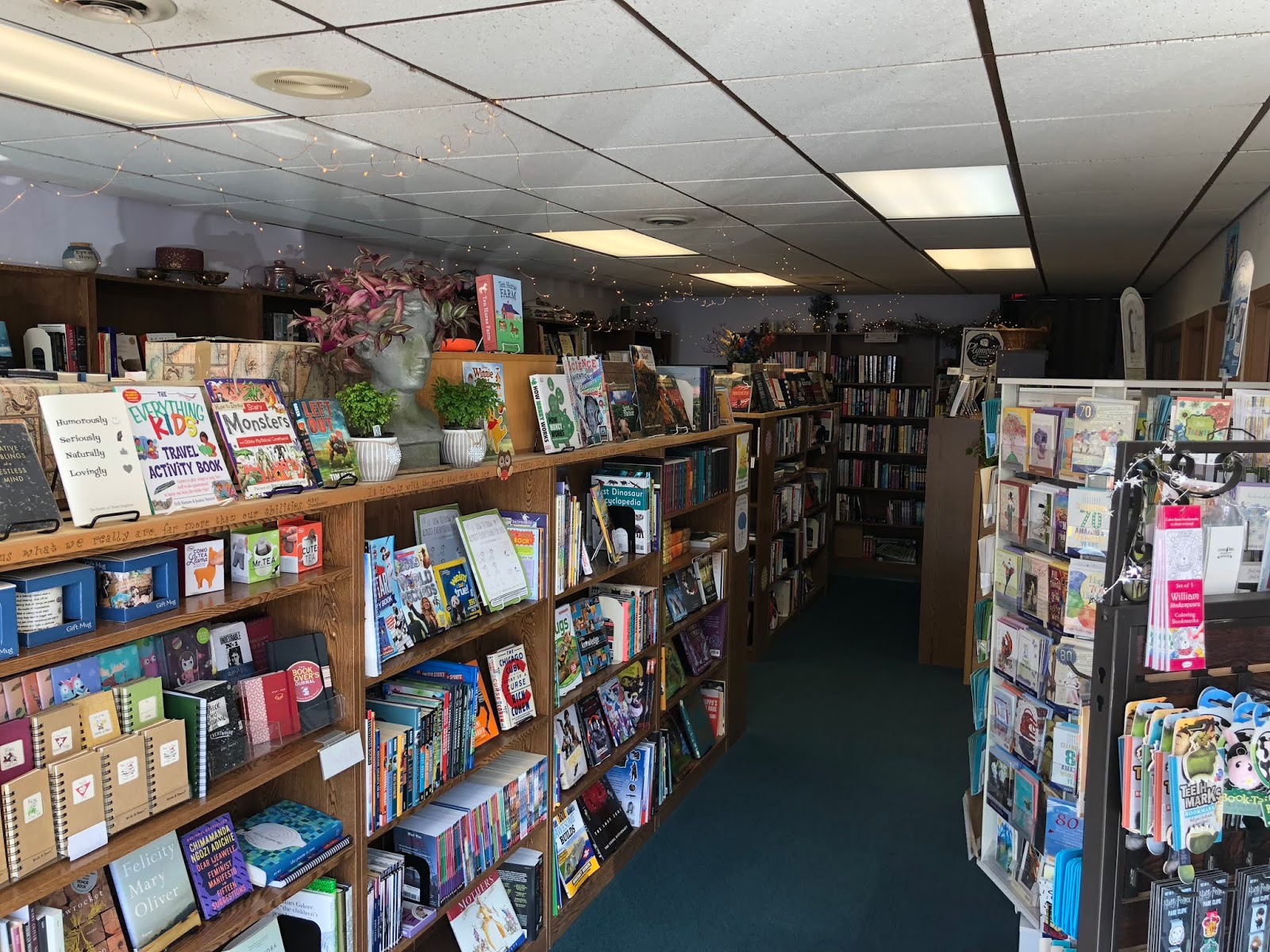 The Indie Bob Spot Book Heads Book Store Plymouth, WI