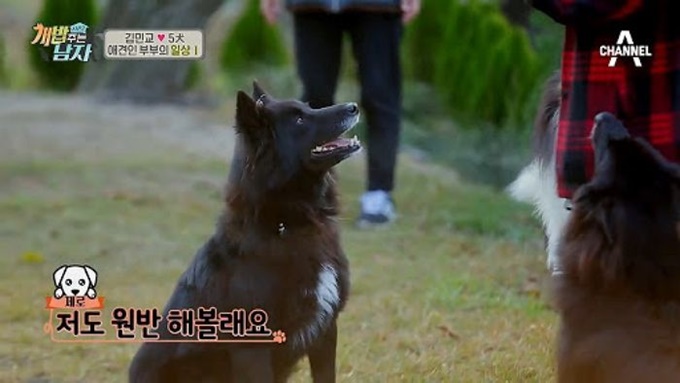 이미지에 대체텍스트 속성이 없습니다; 파일명은 7b0292e8y4826xe3e046.jpg 입니다.